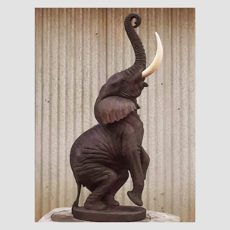 Portfolio Image