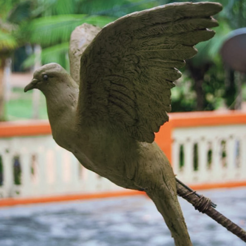 Portfolio Image